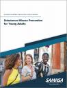 Cover image for Substance Misuse Prevention for Young Adults